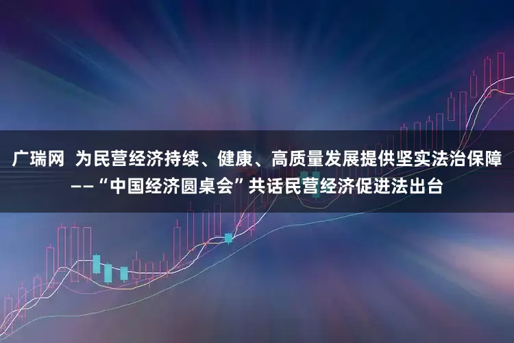 广瑞网  为民营经济持续、健康、高质量发展提供坚实法治保障——“中国经济圆桌会”共话民营经济促进法出台