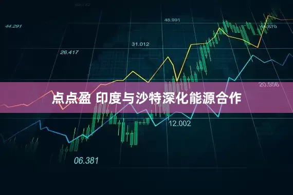 点点盈 印度与沙特深化能源合作
