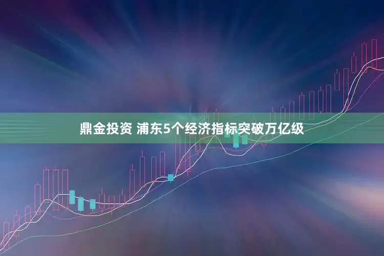 鼎金投资 浦东5个经济指标突破万亿级